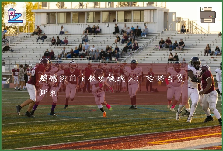 鹈鹕热门主教练候选人：哈姆与莫斯利