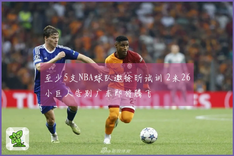 至少5支NBA球队邀徐昕试训 2米26小巨人告别广东即将腾飞