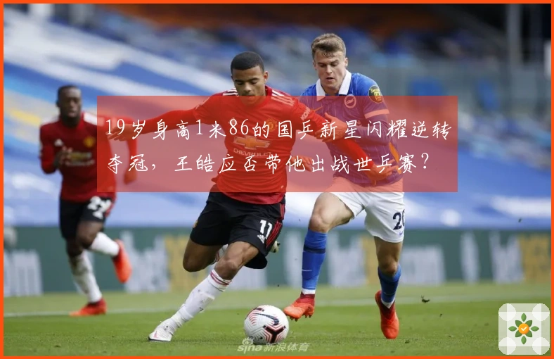 19岁身高1米86的国乒新星闪耀逆转夺冠，王皓应否带他出战世乒赛？
