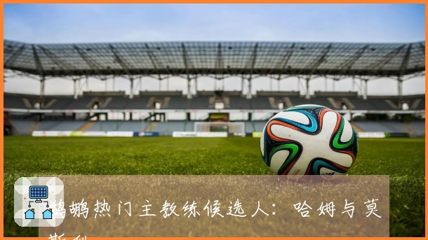 鹈鹕热门主教练候选人：哈姆与莫斯利